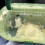Transparent Hamster Carrier Large Size for Small Animals 7