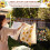 Washable Hanging Clothespin Bag Daisy Mushroom Design 1 Pack 5