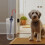 Umbrella Stand Transparent PET Modern Indoor 1 Piece 3