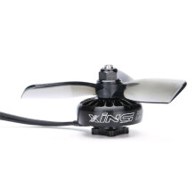 IFlight XING 2205 FPV Brushless Motor 4-6S with 12x12mm M2 Mount for Drone Parts DIY PARTS 2300KV
