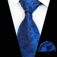 Men's Floral Paisley Tie and Pocket Square Set