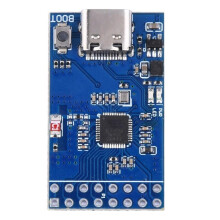 Carte de Développement BL616 Core RISCV WiFi 6 Bluetooth5 avec Interface Type-C pour Projets de Connectivité Sans Fil