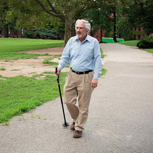 Walking Cane Adjustable Self-Standing Folding 10 Heights 1