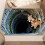 3D Visual Trap Carpet Realistic Depth Design 36x24in 8