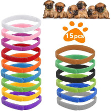 Collier d'identification pour chien, collier d'identification pour chiot, colliers pour chiots, collier