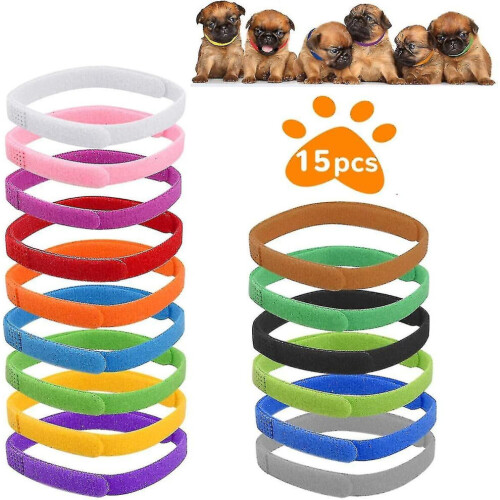 Collier d'identification pour chien, collier d'identification pour chiot, colliers pour chiots, collier