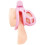 Blue Line Humiliation Prisoner Small Pink Chastity Cage 2