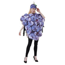 Costume d'Halloween pour une pièce de théâtre, une réunion sportive, une fête des fruits, un déguisement