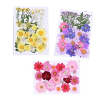 YSDSY Fiori secchi naturali Fiori pressati Foglie secche miste Fiori secchi misti multipli per l'arte