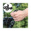 1pair 22.2mm Bicycle Bar Ends Ergonomic Design Mountain Bike Handlebar Handle 1