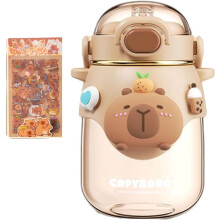 Capybara Water Bottle Food-Grade Plastic 500ml with Lid and