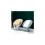 2-Pack Leaf-Shaped Soap Dishes with Drainage - Silicone Suction Cups, Keeps Soap Dry 5