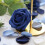 Petali di Rosa in Seta da 2000 Pezzi Dusty Blu Navy Flower Petals 4