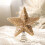 Christmas Glitter Star Tree Topper Champagne 3