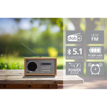 DABMAN 30 Mobiili DAB+ / FM-radio Puu