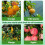 Fruit Picking Poles, Fruit Picking Baskets, Integrated Picking and Harvesting Systems for Mangoes, Oranges 5