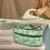 Leaf Handheld Travel Steamer Bag Case Only 4