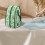 Leaf Handheld Travel Steamer Bag Case Only 5
