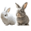 Bunby realistic interactive bunny toy with jumping and 1