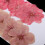 Pressed Dried Cherry Blossom Flowers for Scrapbooking 10 4
