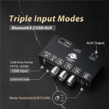 2-Pak TW100U 100W Mono Amplifier Board, Moduł Cyfrowego Wzmacniacza TPA3116D2, Obsługuje TWS-Bezprzewodowy, AUX/ 5.3 Wejście