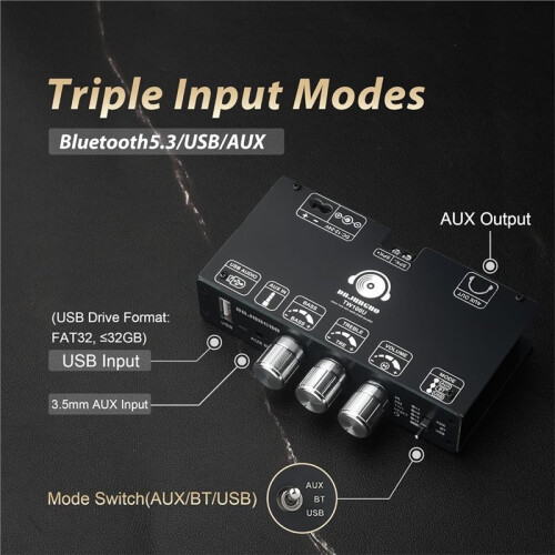 2pack TW100U 100W Mono Amplifier Board,TPA3116D2 Digital Power Amp Module,Support TWS-Wireless ,AUX/ 5.3 Input