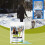 Pet-Safe Ice Melt Granules Fast-Acting Non-Corrosive 4