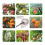 Fruit Picker with Telescopic Handle 4m,Fruit Picker,  Picker with Bag, Stainless Steel Fruit Harvesting Tools 4