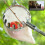 Fruit Picker with Telescopic Handle 4m,Fruit Picker,  Picker with Bag, Stainless Steel Fruit Harvesting Tools 5