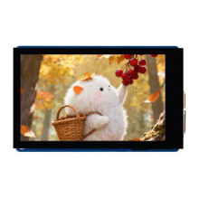 3.5inch Capacitive Touch Display, 5-Point Touch,800x480 IPS Display Panel, for Raspberry Pi Series Boards