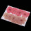 Pressed Dried Cherry Blossom Flowers for Scrapbooking 10 6