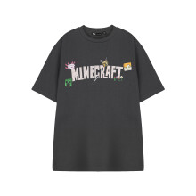 (XX-Large) Minecraft Short Sleeved T-Shirt (Womens Grey)