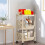 Mobile Multi-Tier Storage Cart with Wheels 5-Tier 1