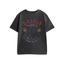 (3-4 Years) How to Train Your Dragon Short Sleeved T-Shirt (Boys Grey)