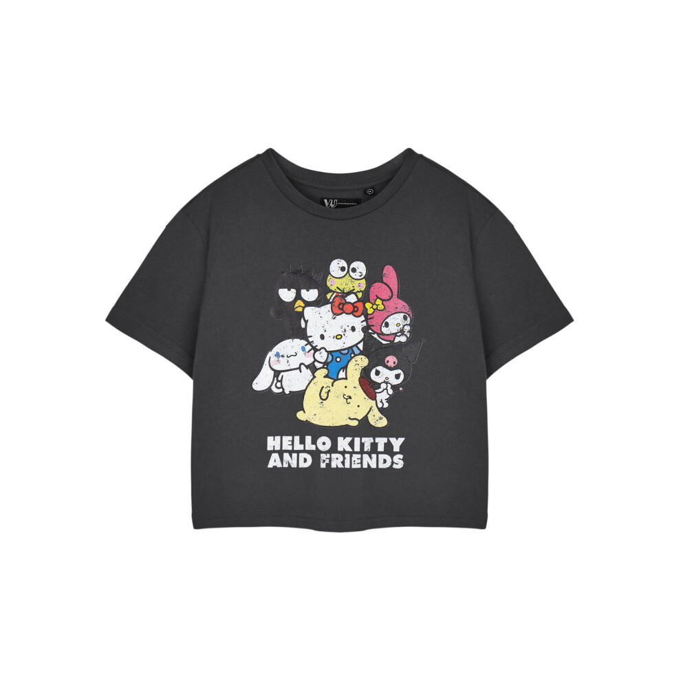 Hello Kitty (X-Large) Cropped Short Sleeved T-Shirt (Womens Grey)