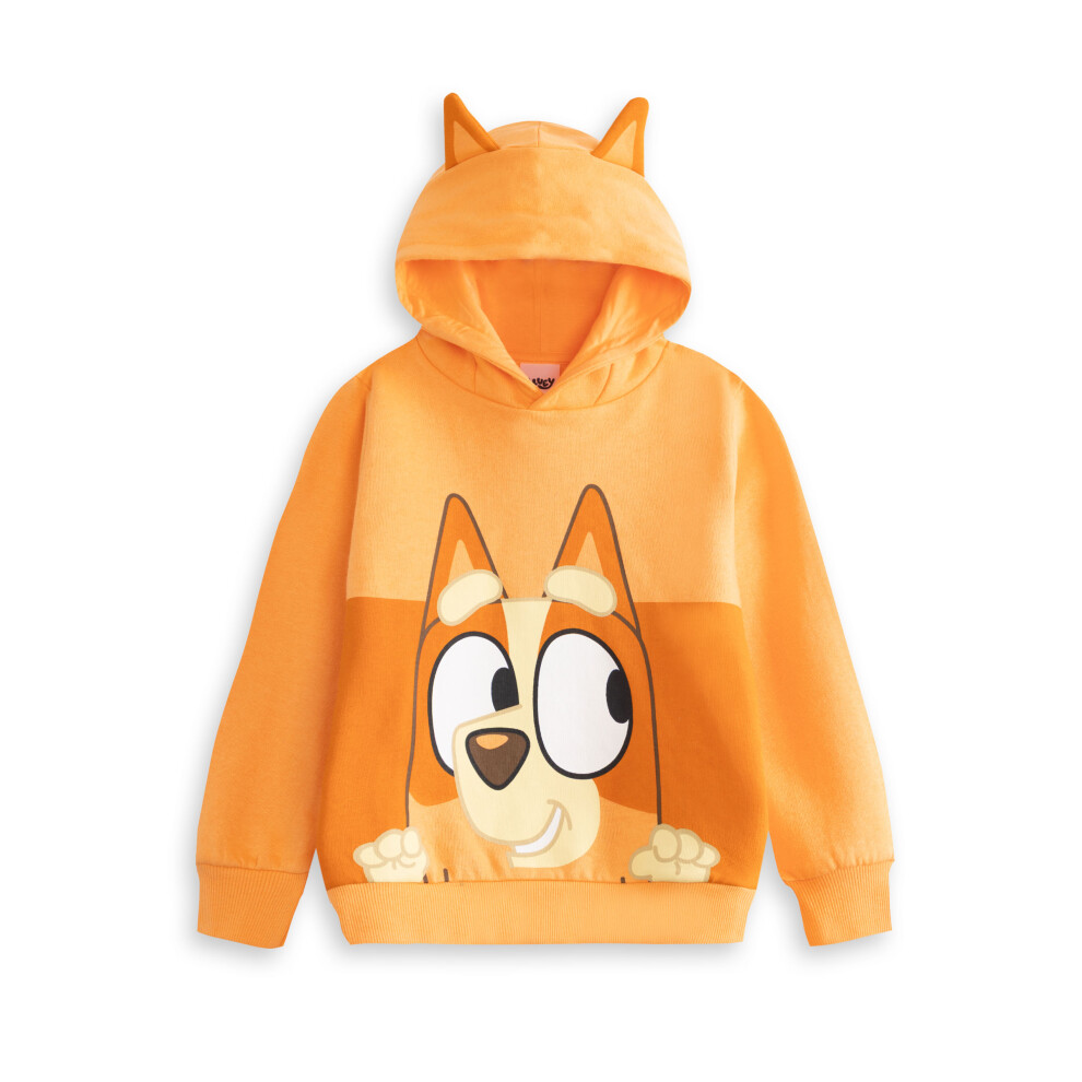 Bluey (5-6 Years) Hoodie (Unisex Kids Brown)