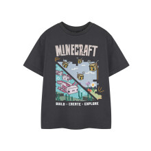 (7-8 Years) Minecraft Short Sleeved T-Shirt (Girls Grey)