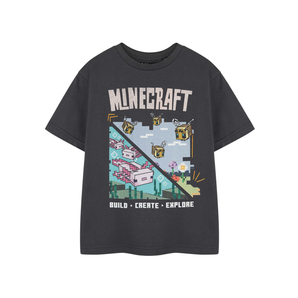 Minecraft (3-4 Years) Short Sleeved T-Shirt (Girls Grey)