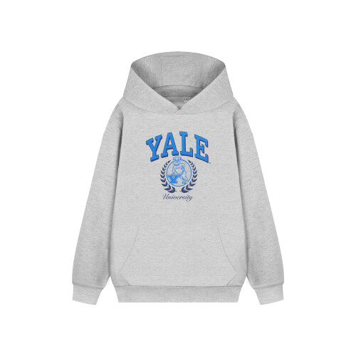 Yale (X-Large) Yale Hoodie (Unisex Grey)