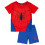 Marvel (3-4 Years) Marvel Spiderman Short Sleeve Short Leg Pyjama Set (Boys Blue) 1