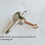 Engine Crankshaft Universal Fit for 25CC Chainsaw 2500 Pruner Saw 6