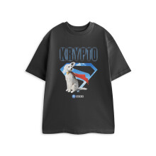 (Small) DC Comics Short Sleeved T-Shirt (Mens Grey)