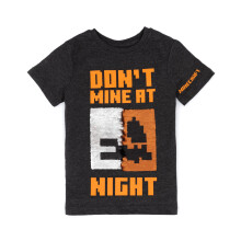 (9-10 Years) Minecraft Short Sleeved T-Shirt (Boys Grey)