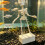 3D Printed Dancing Skeleton Aquarium Bubbler Plastic Fish Tank Dance Skull Ornament Gothic Air Driven 5