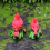Mini Christmas Cardinal Statue Resin Red Bird 2 pcs 3