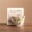 Yellow Ceramic Cat Teapot 70 ml Handmade Porcelain 8