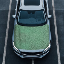 Green Car Hood Cover Portable Automotive Accessory