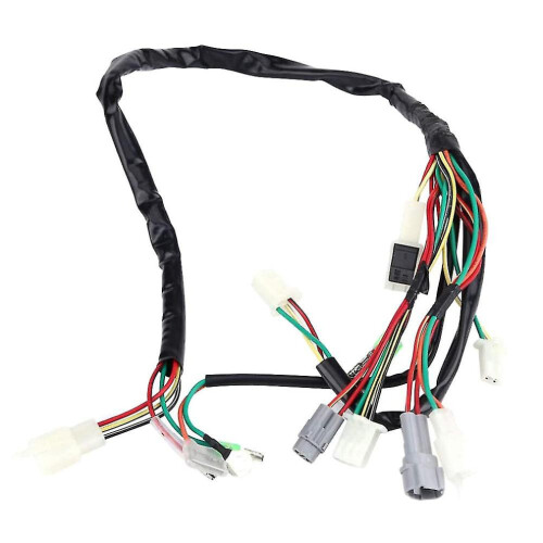 Motorcycle Replacement Wire Harness Assembly For Pw50 1
