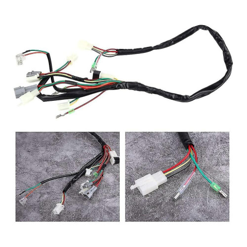 Motorcycle Replacement Wire Harness Assembly For Pw50 2