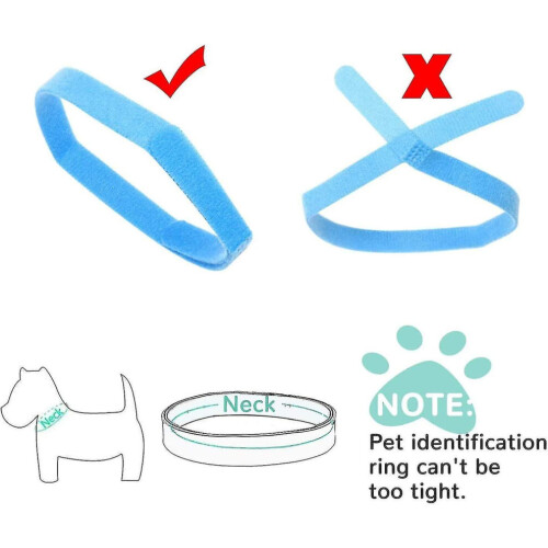 Collier d'identification pour chien, collier d'identification pour chiot, colliers pour chiots, collier 1